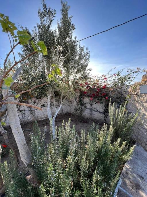 אסאוירה Le Petit Chalet. מראה חיצוני תמונה